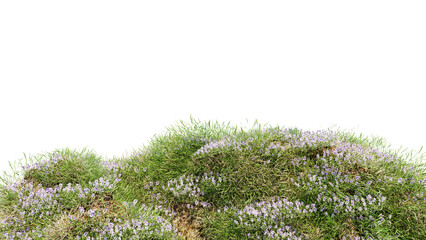 Wall Mural - 3d render various types of flowers grass bushes shrub and small plants on transparent background