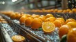 Fresh Citrus Fruits on Modern Production Line Generative AI