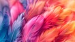 Colourful feathers background