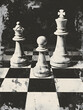 Monochrome still life photo of three chess pieces on a chessboard
