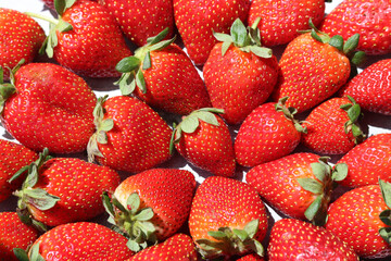 Sticker - Strawberry background. Juicy organic berries close up photo. Summer fruit texture. Fresh strawberries from above filling the frame