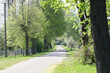 Asphalt road background. Summer countryside landscape. Weekend roadtrip travel drive. Good weather scenery. Way out of the city. Narrow road with trees along. Village in Poland.