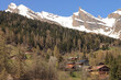 Schweizer Bilderbuchlandschaft; Frühling im Unterwallis, Blick über Mayens-de-Chamosan auf die nahen Gipfel der Berner Alpen (Pointe de Chemo und Dent de Chamosentze)