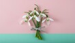Minimalist Charm: Snowdrops Bouquet on Pink Background