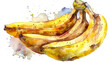 watercolor a bunch of bananas, clipart, white background, Generative AI