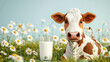 Cow in the meadow with a glass of milk