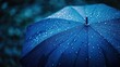 © Boomanoid - Person holding blue umbrella in rain