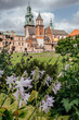 Wawel Cathedral and Castle with Summer Blooms in Foreground