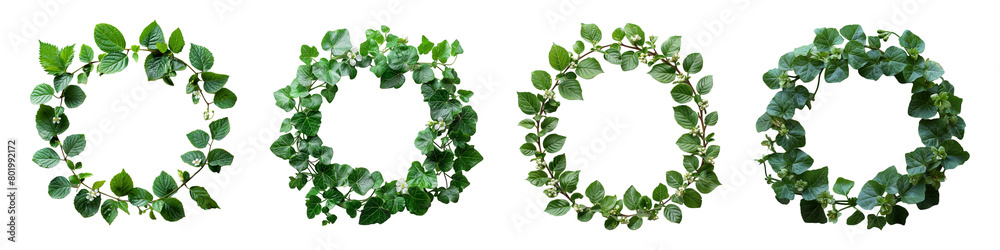 Decoration collection Natural round shape frame with green leaf pattern ...