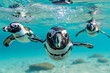 Penguins swimming underwater with happy and magnificent
