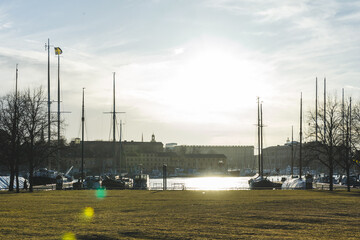 Canvas Print - a field with many boats moored on it near water