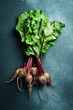 Beet, beetroot bunch, on a dark background, close-up, top view.