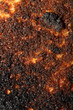 Very Burnt Bread Roll Toast Close Up Texture Close Up