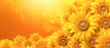 Sunflowers in golden light featuring bright yellow petals and warm ambiance, ideal for themes of summer, growth, and positivity. 