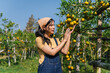 woman is sitting in the grass and picking oranges from a tree
