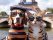 beagle with long ears wearing a basque hat , sunglasses, and stripe tshirs and a cat , sunglasses, andstriuped tshirt both sitting in paris, tour eifel in the background