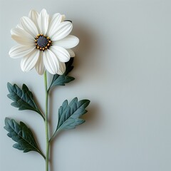 Poster - AI generated illustration of a white flower with ample copy space against a white background