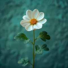 Poster - AI generated illustration of a white flower with ample copy space against a green background