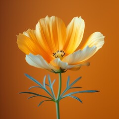 Poster - AI generated illustration of a orange flower with ample copy space against an orange background