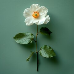 Poster - AI generated illustration of a white flower with ample copy space against a green background