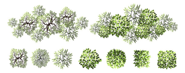 Tree for architectural floor plans. Entourage design. Various trees, bushes, and shrubs, top view for the landscape design plan. Vector illustration.