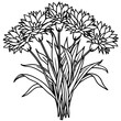 Cornflower Flower  Bouquet outline illustration coloring book page design, Cornflower Flower  Bouquet black and white line art drawing coloring book pages for children and adults