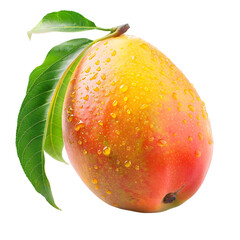 Wall Mural - Mango isolated on a transparent background