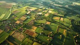 Fototapeta Londyn - An aerial perspective of expansive cornfields dotted with farmhouse clusters, illustrating the vastness of agricultural landscapes.