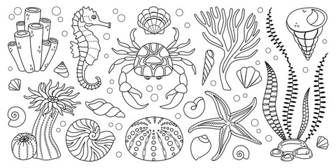 hand drawn line art sea life elements set. aquatic animals, anemones, crab, algae, seashells, starfi