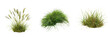 © PNG Collection - Set of tussock of grass on a transparent background