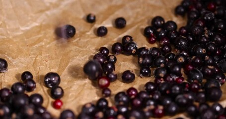 Wall Mural - Frozen black currant berries close-up, fresh frozen currants for long-term storage