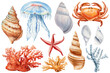 Seashells, jellyfish, crab, Starfish and coral watercolor on isolated white background. Painted Aquatic illustration set