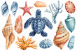 Set Seashell, starfish, turtle and coral watercolor clipart. Beautiful Marine design elements isolated white background