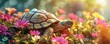 turtle with flowers.
