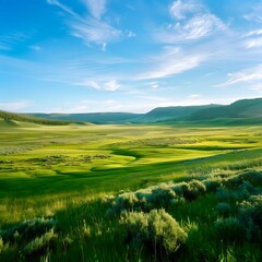 Poster - Green expanses, fields