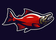 Cartoon Illustration of Sockeye Salmon Fish