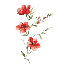 Canvas Print - Vector Watercolor Floral Clipart Wild Red Flowers Minimalist