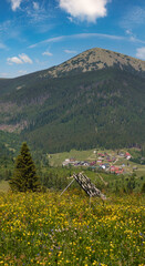 Wall Mural - Summer Gorgany massiv mountains scenery view from Sevenei hill (near Yablunytsia pass, Carpathians, Ukraine.)