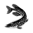 Pike Fish Black and White Illustration