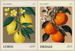 © Creative_Juice_Art - Set of Abstract Fruit Market retro posters. Trendy contemporary wall arts with fruit design in earth tone colors. Modern naive groovy funky interior decorations, paintings. Vector illustrations.