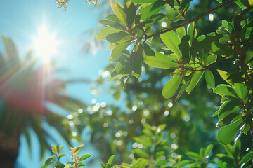 Wall Mural - Sunlight filtering through lush green leaves in a tropical garden during midday