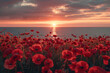 Stunning sunset over a sea of red poppies by the ocean