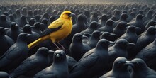 A Yellow Bird Surrounded By Many Black Birds