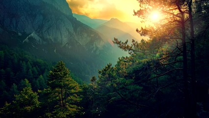 Wall Mural - Peak Serenity: Awe-Inspiring Forest and Mountain Landscape. Seamless looping time-lapse virtual 4k video animation background