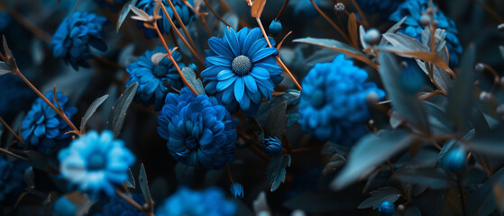 Wall Mural - Professional photo about blue flowers