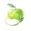 Green apples composition watercolour illustration 