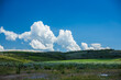 © Charles Baden - summer meadow with clouds and blue sky
