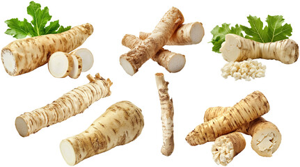 Wall Mural - set of horseradish roots with leaves, cut out