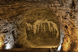 Fototapeta Kwiaty - Tuzluca salt mine used for halotherapy, Tuzluca, Turkey