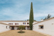 interior patio of an Andalusian style country house with terracotta sidewalks, white walls, gravel path, a newly planted olive tree and a large cypress